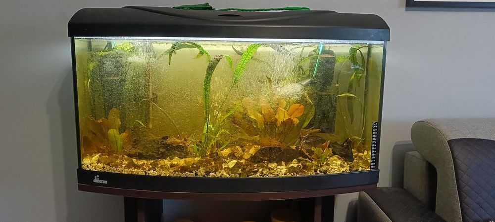 Akwarium 120l + szafka