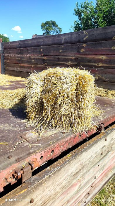 Продам солому в тюках