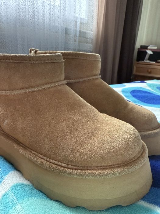 Уггі замшеві BEARPAW
