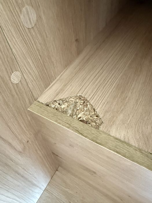 Łóżko pietrowe w dobrym stanie