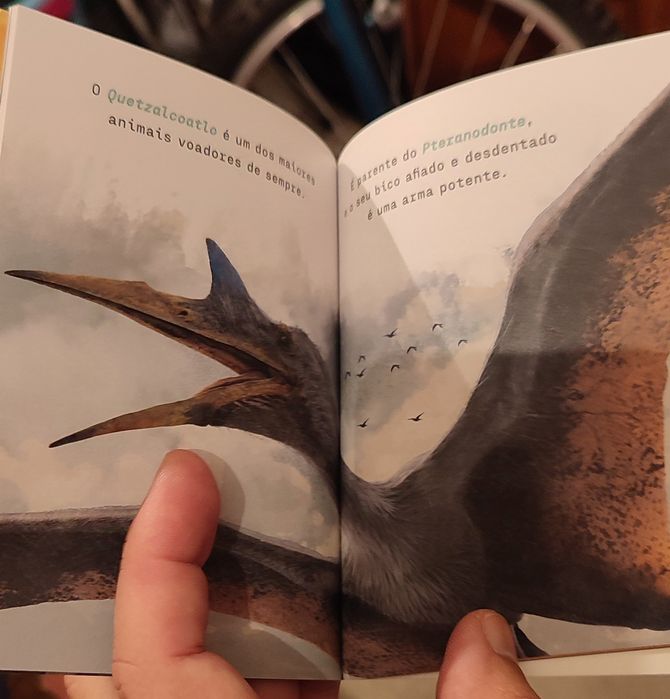 Conjunto de Dinossauros + Livro