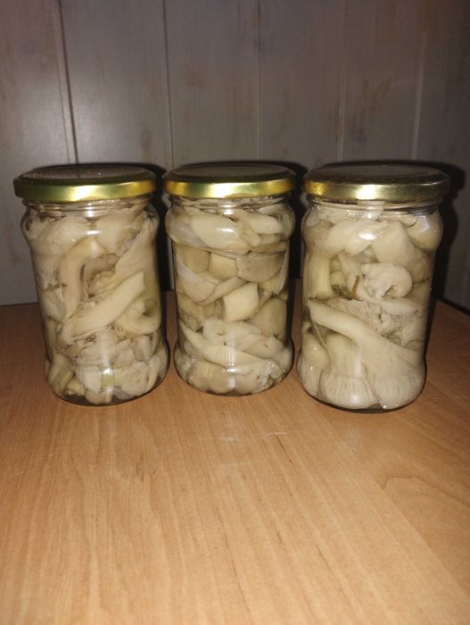 Marynowany boczniak w tradycyjnej zalewie octowej