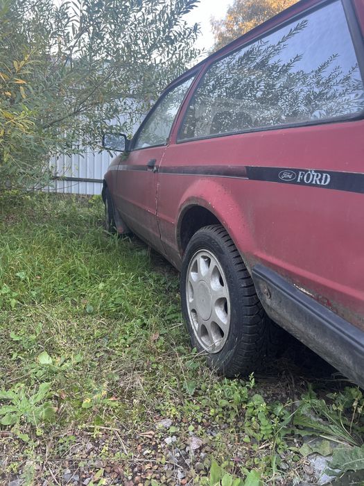 Ford escort 1981