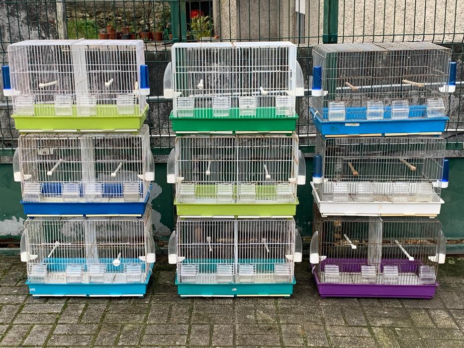 Viveiro / Gaiola Dupla com Divisória Removível