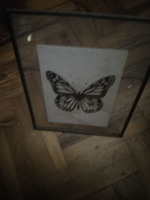 My Model Doll Design -Jogo - Educa - 10E - Peça Borboleta 8E  Desde 2E