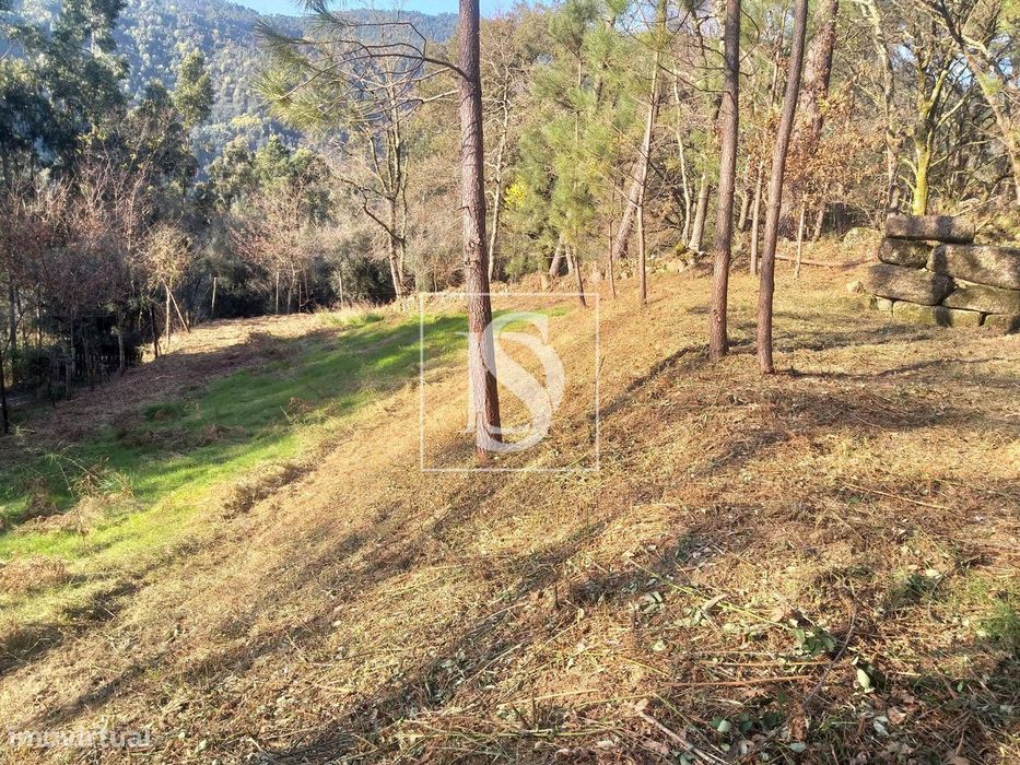 Terreno  Venda em Louredo,Vieira do Minho