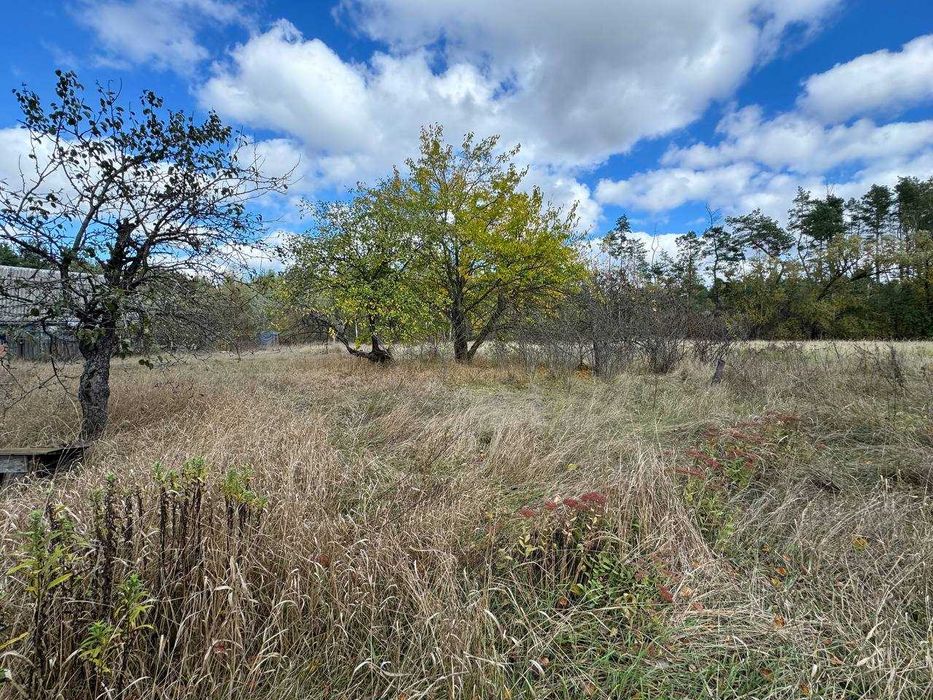Будинок в селі Гориця