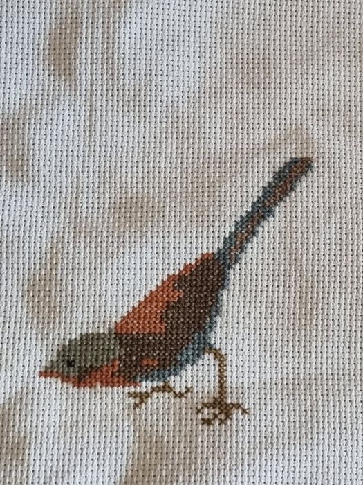 Conjunto de pássaros ponto de cruz