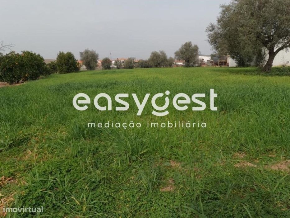 Terreno Rústico e Armazém com uma área de 6.290m2 em Montes Velhos