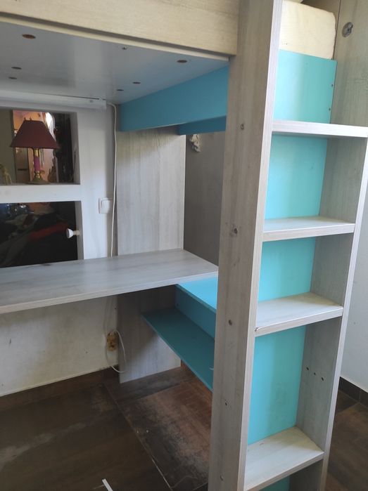 Beliche de criansa, adultshent