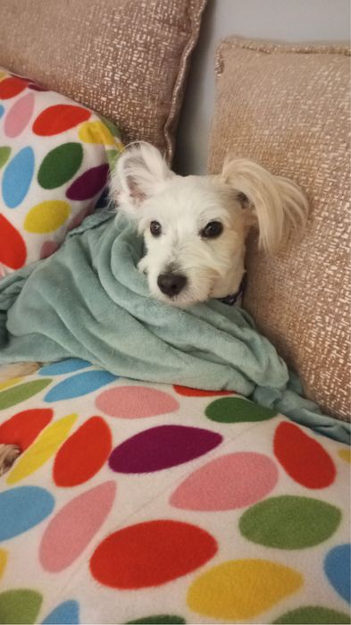 Hospedagem no meu domicilio