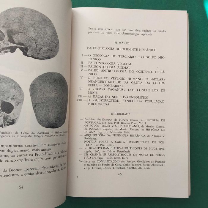 Antropologia Luso-Atlântica (1º volume) - Almeida Langhans