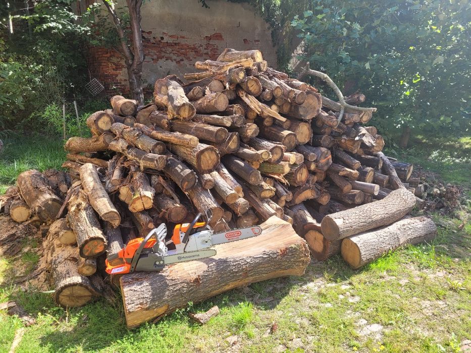 Cięcie drewna, wycinka drzew