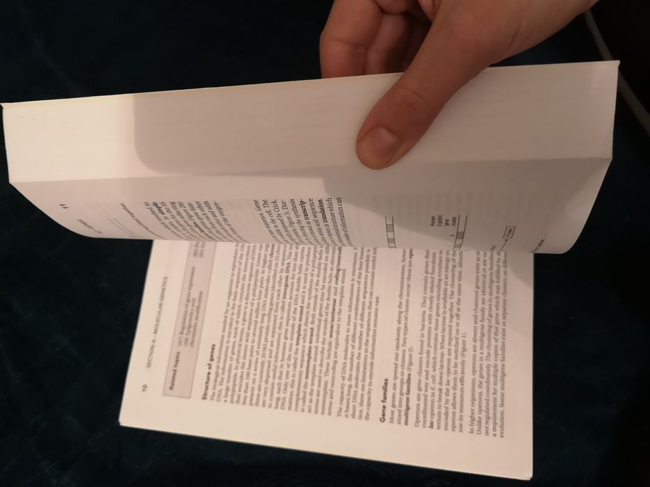 Bios instant notes - genetics, fourth edition - fletcher, hickey