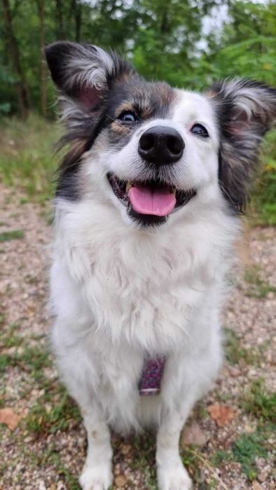 Fisia szuka nowego domu