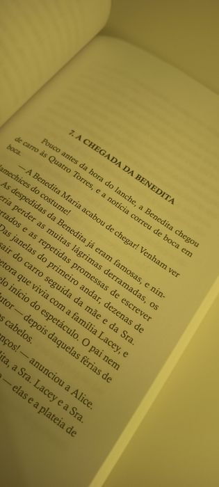 O quinto ano no Colégio das Quatro Torres