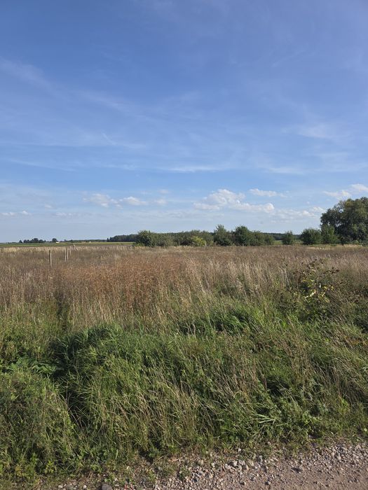 Sprzedam działkę - Widok 2
