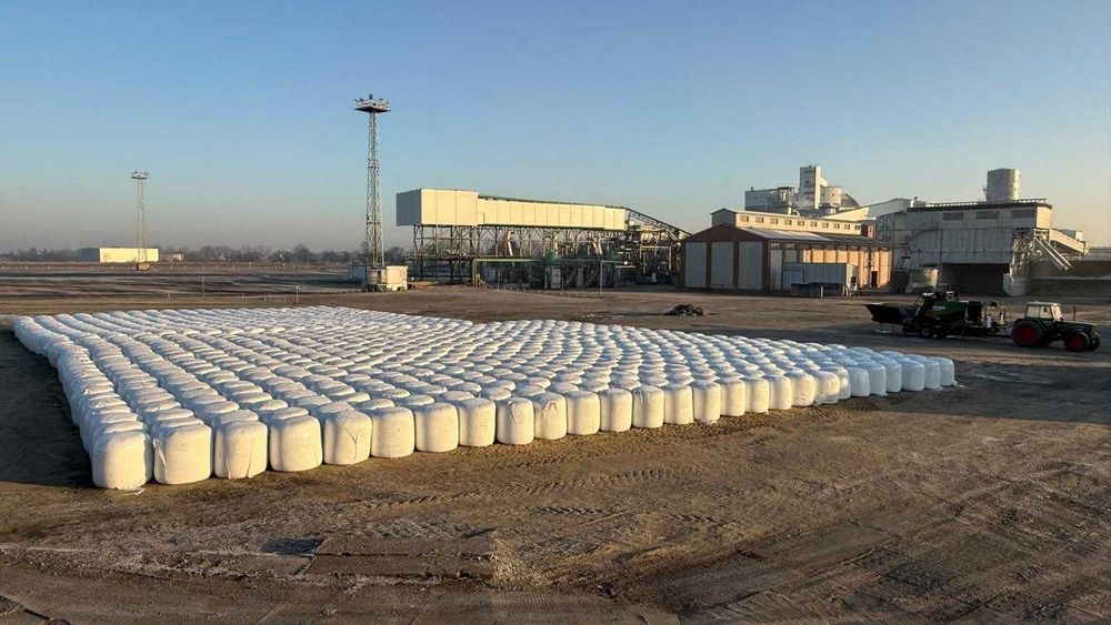 Wysłodki buraczane w balotach