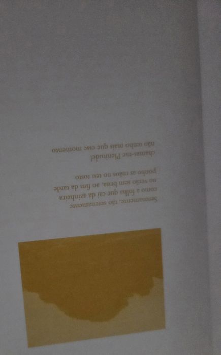 Plenitude, livro de poesia