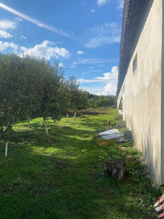 Складський комплекс 800 м² + 1 га території