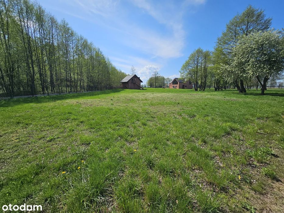 Działka na prywatnym osiedlu Dargin Mamry Harsz 30 arów 3000 m² Mazury - Widok 3