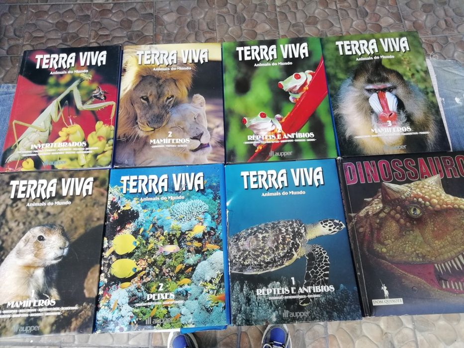 8 Lindos Livros Animais do Mundo