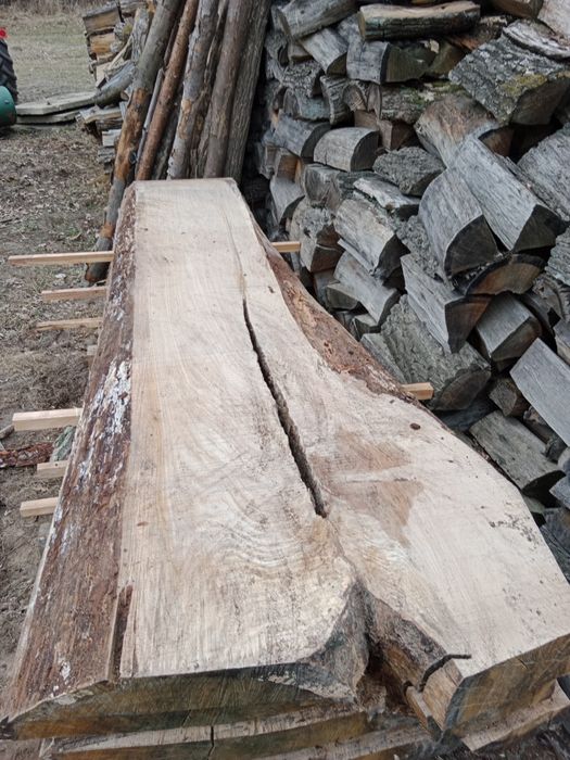 Blaty dębowe, foszty