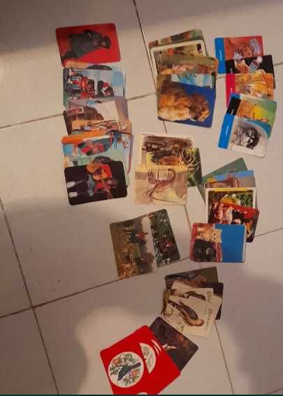 Coleção Calendarios - Animais