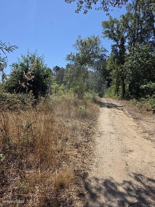 Terreno  para venda