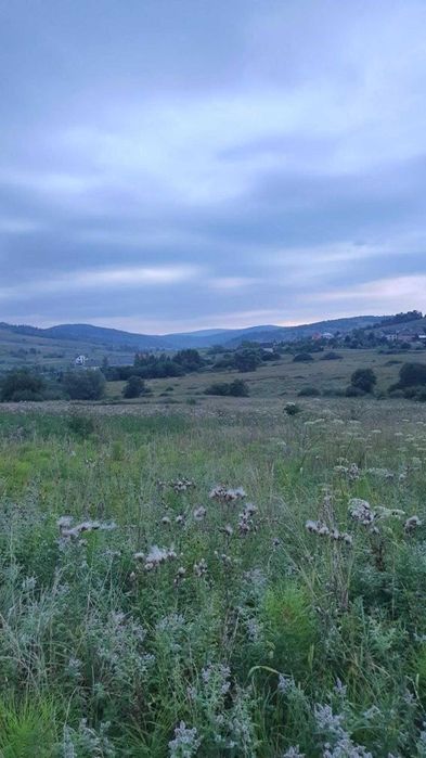 Земля/будівництво/Опака /Дрогобицький рн/Львівська область