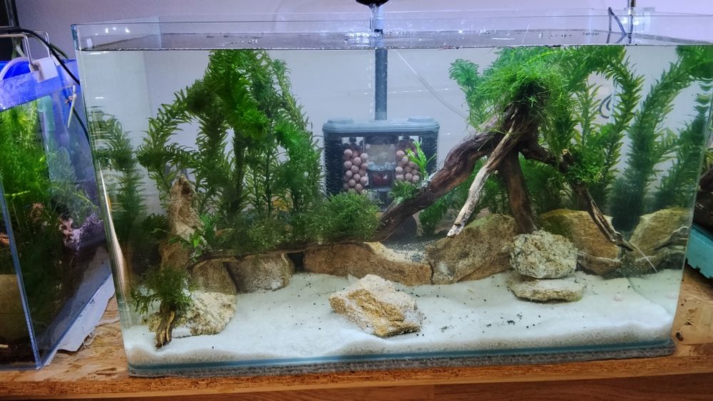 Aquario para venda