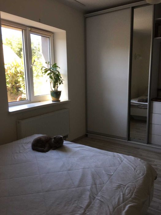 Великий будинок з сучасним ремонтом в Гребінках