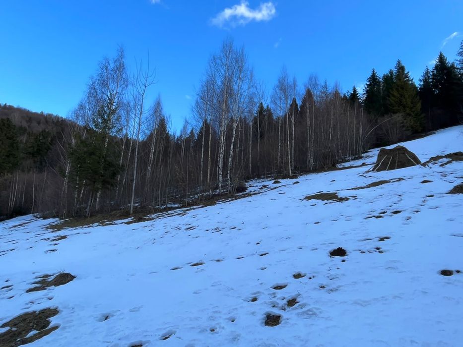 Продається земельна ділянка