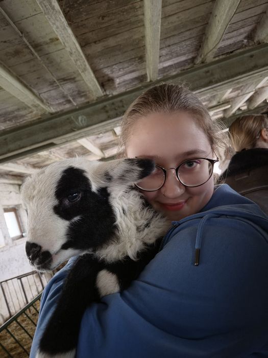Opieka nad zwierzętami / Petsitter / Spacery z psem / Koty / Kraków
