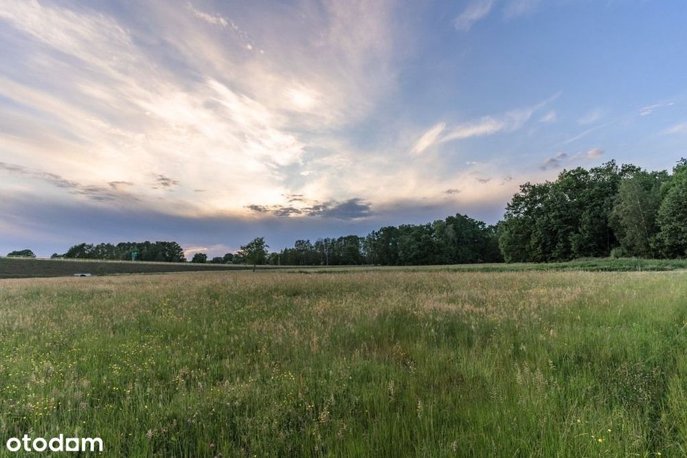 Działki inwestycyjne Nowy Tomyśl