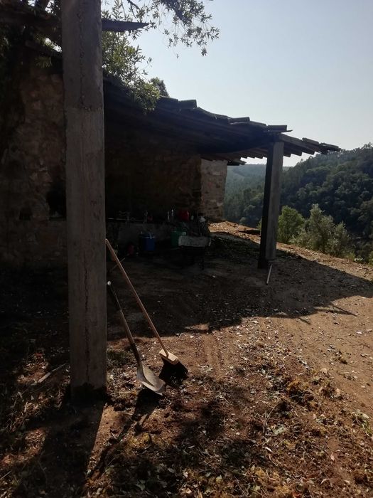 Limpeza de terrenos, matos jardins e outros afins