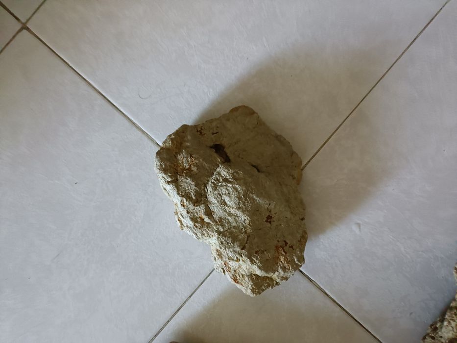 Rochas para aquário