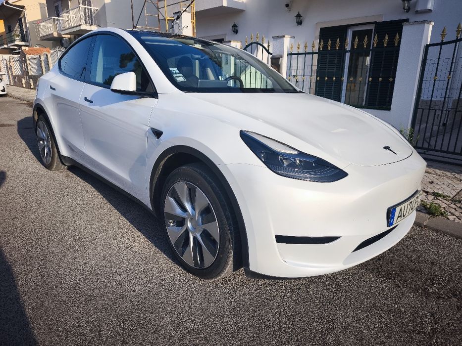 Tesla  y standard