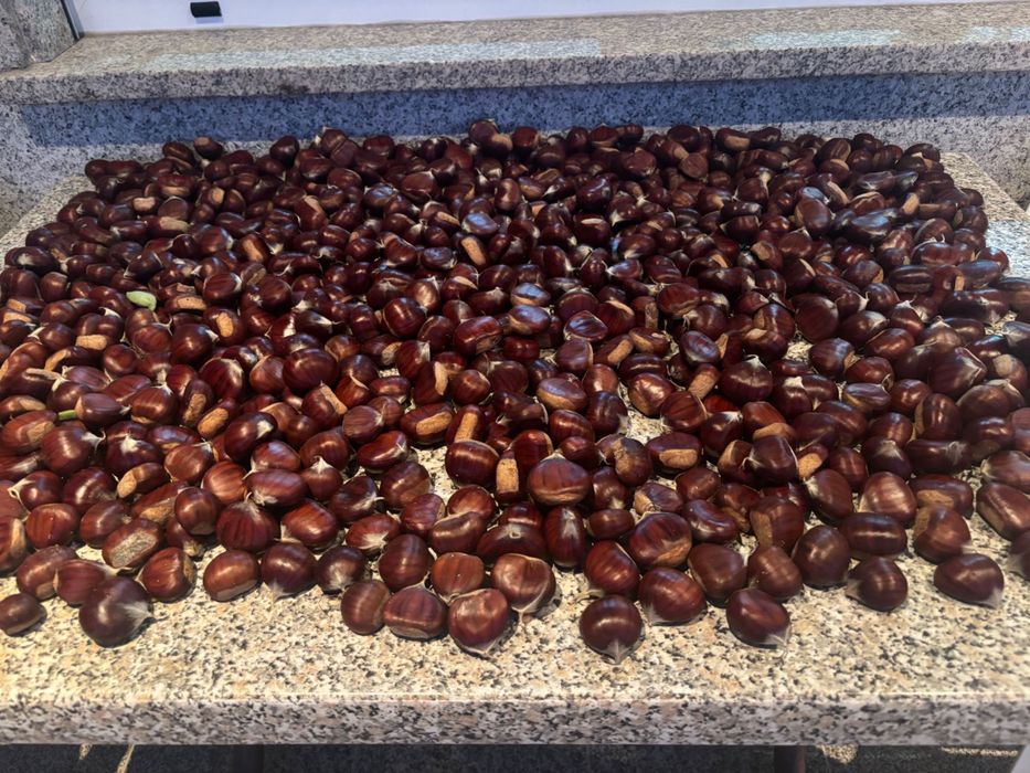 Castanhas de boa qualidade
