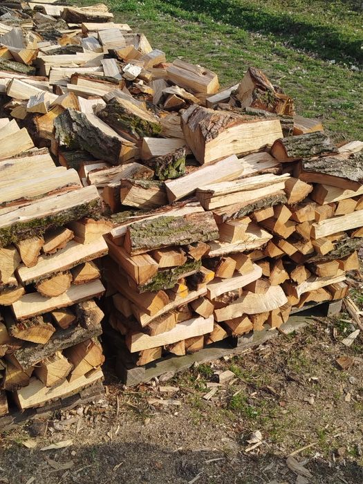 Drewno kominkowe dąb