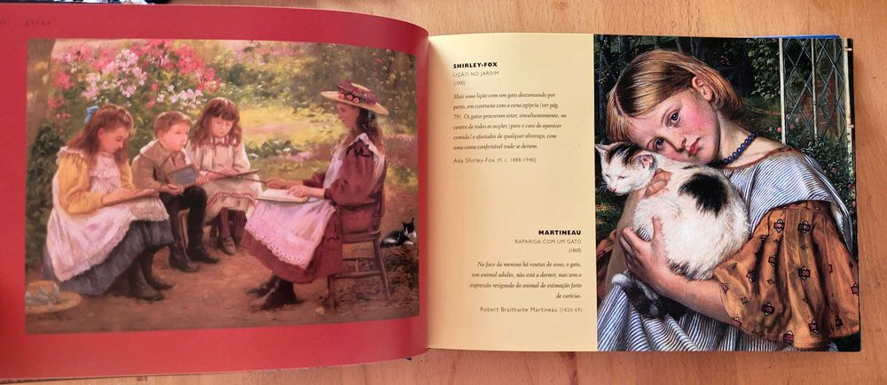 Gatos Selvagens e Felinos Mimados