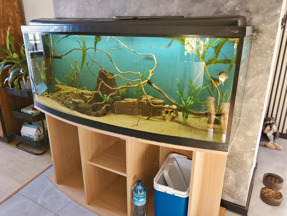 Akwarium 450L z rybami.