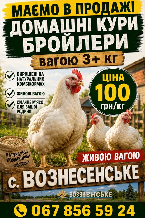 Бройлер живою вагою 3+