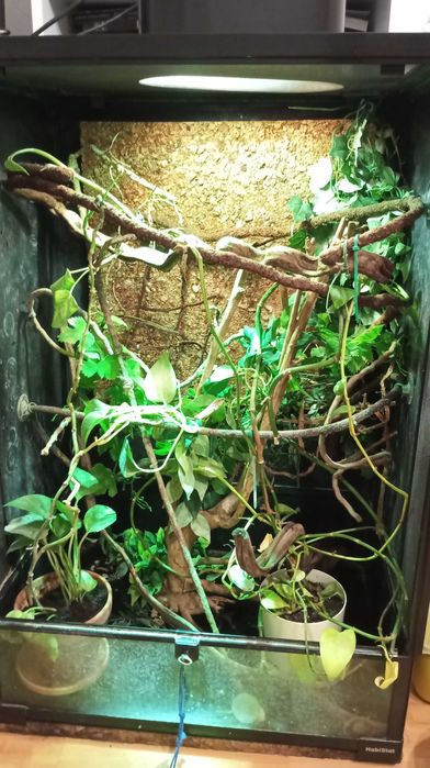 Terrarium szklane 90x60x45