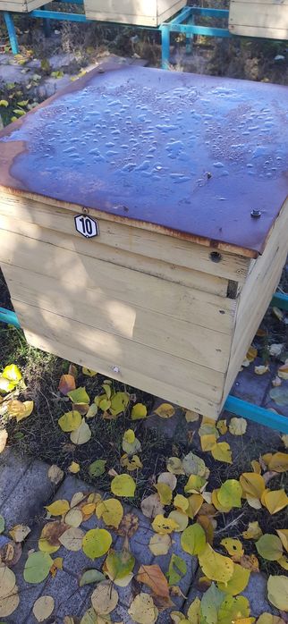 улики, лежаки, корпусні 12, вулики