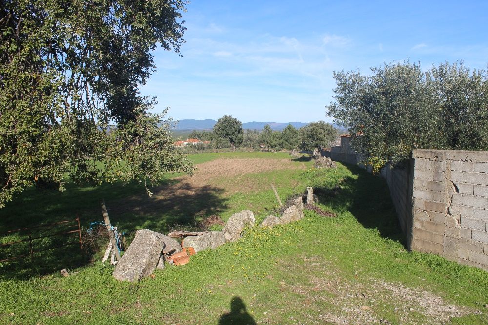 Terreno Aldeia Santa Margarida