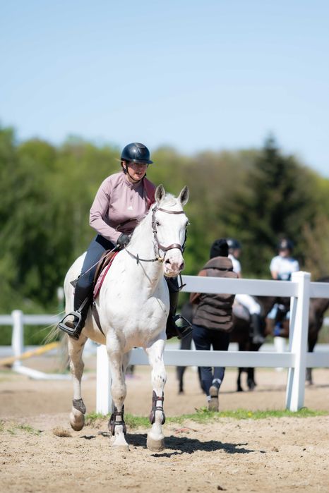 Sprzedam wałacha dla dziecka lub amatora