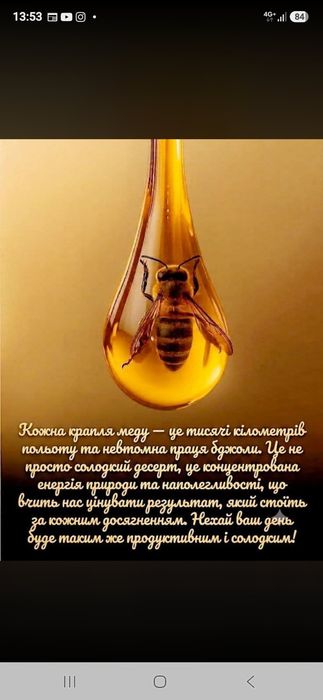 Мед Весняний і лісовий
