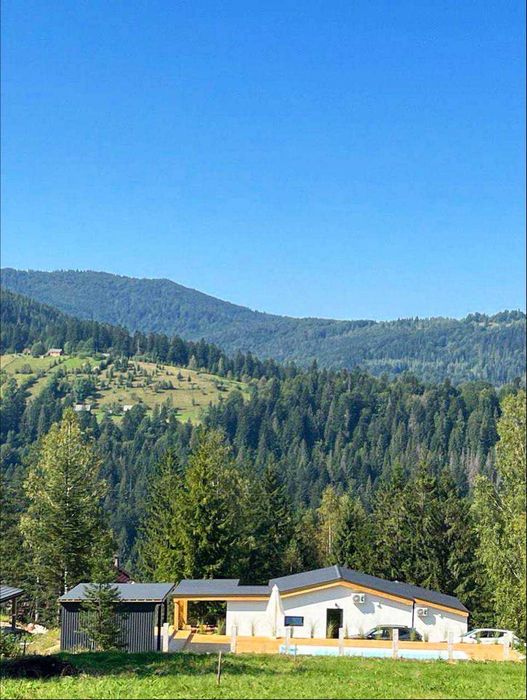 Продаж Дохідного котеджу в Микуличині