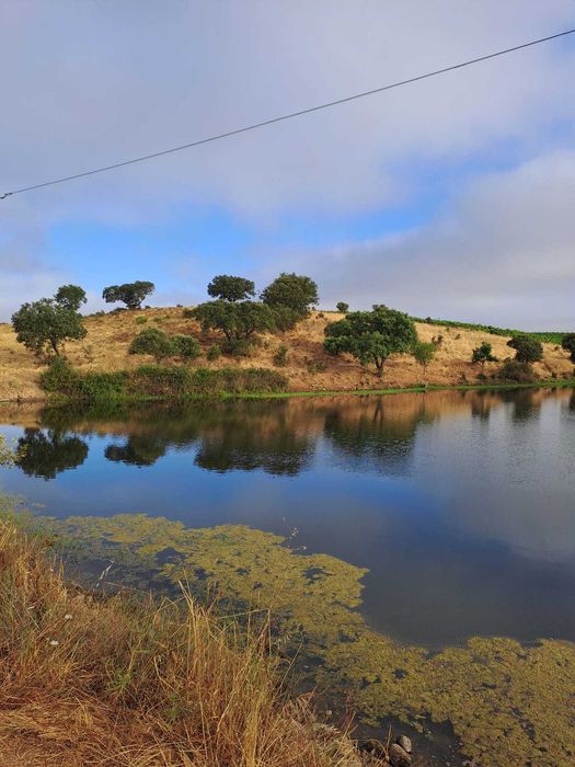 Herdade para venda. Alentejo